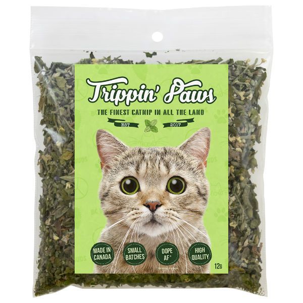 Cat nip